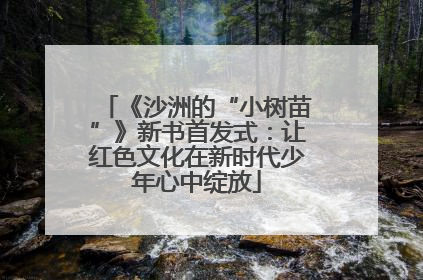 《沙洲的“小树苗”》新书首发式：让红色文化在新时代少年心中绽放