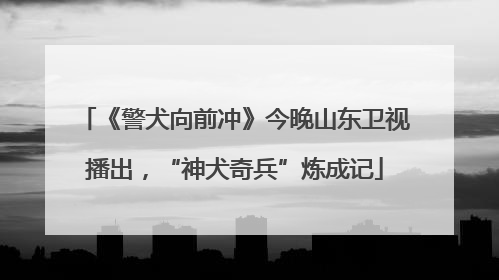 《警犬向前冲》今晚山东卫视播出，“神犬奇兵”炼成记