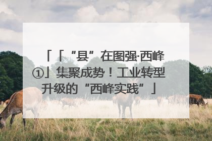 「“县”在图强·西峰①」集聚成势！工业转型升级的“西峰实践”