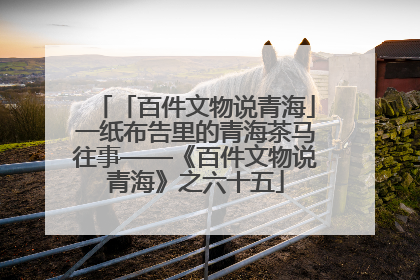 「百件文物说青海」一纸布告里的青海茶马往事——《百件文物说青海》之六十五