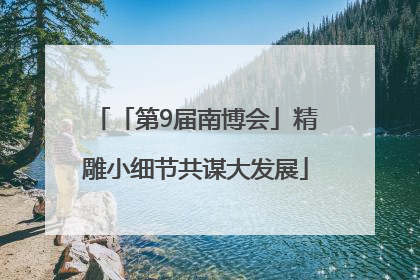 「第9届南博会」精雕小细节共谋大发展