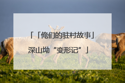 「俺们的驻村故事」深山坳“变形记”