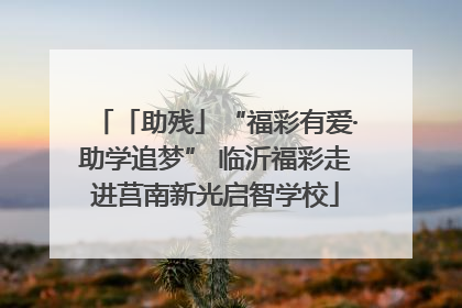 「助残」“福彩有爱·助学追梦” 临沂福彩走进莒南新光启智学校