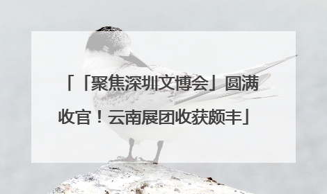 「聚焦深圳文博会」圆满收官！云南展团收获颇丰