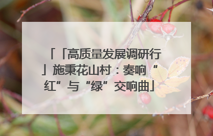 「高质量发展调研行」施秉花山村：奏响“红”与“绿”交响曲
