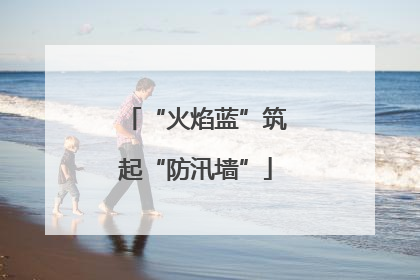 “火焰蓝”筑起“防汛墙”