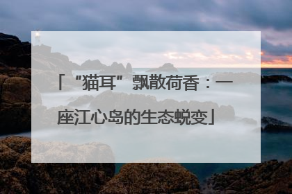 “猫耳”飘散荷香：一座江心岛的生态蜕变