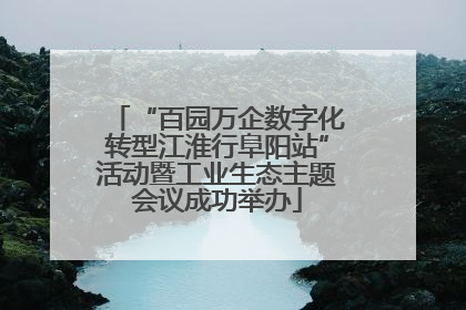 “百园万企数字化转型江淮行阜阳站”活动暨工业生态主题会议成功举办