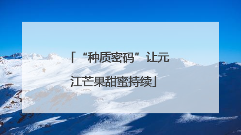 “种质密码”让元江芒果甜蜜持续