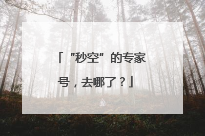 “秒空”的专家号，去哪了？