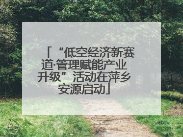 “低空经济新赛道·管理赋能产业升级”活动在萍乡安源启动