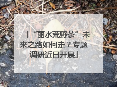 “丽水荒野茶”未来之路如何走？专题调研近日开展