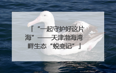 “一起守护好这片海”——天津渤海湾畔生态“蜕变记”