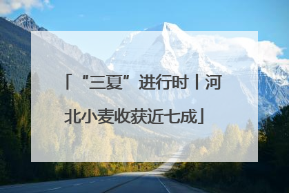 “三夏”进行时丨河北小麦收获近七成
