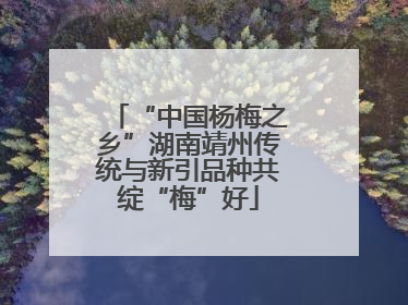 “中国杨梅之乡”湖南靖州传统与新引品种共绽“梅”好