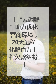 “云调解”助力优化营商环境，20天远程化解百万工程欠款纠纷