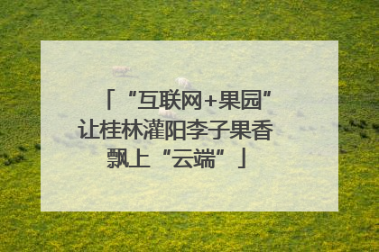“互联网+果园”让桂林灌阳李子果香飘上“云端”