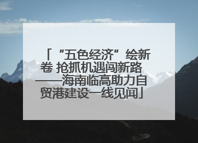 “五色经济”绘新卷 抢抓机遇闯新路——海南临高助力自贸港建设一线见闻