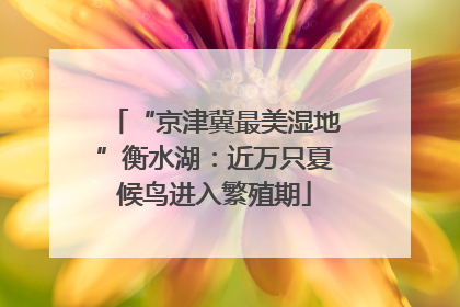 “京津冀最美湿地”衡水湖：近万只夏候鸟进入繁殖期