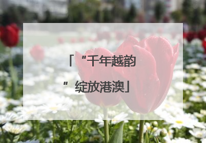 “千年越韵”绽放港澳