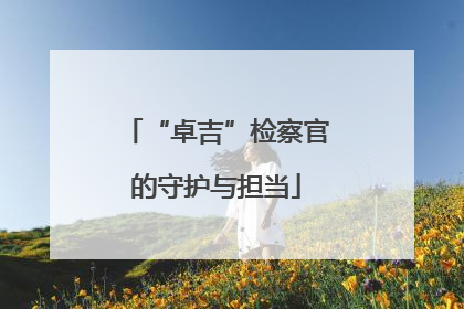 “卓吉”检察官的守护与担当
