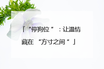 “停狗位 ”：让温情藏在 “方寸之间 ”