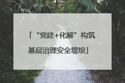 “党建+化解”构筑基层治理安全堤坝