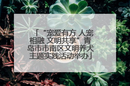 “宠爱有方 人宠相融 文明共享”青岛市市南区文明养犬主题实践活动举办