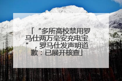 “多所高校禁用罗马仕两万毫安充电宝”，罗马仕发声明道歉：已展开核查
