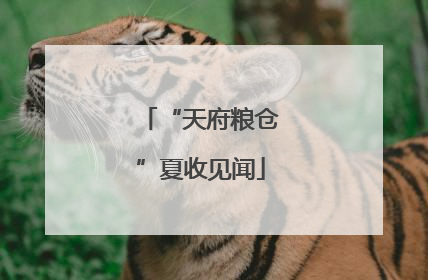 “天府粮仓”夏收见闻