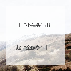 “小蒜头”串起“金链条”