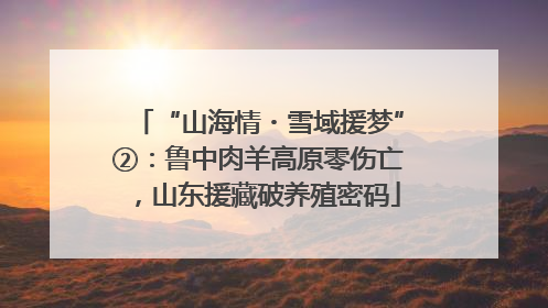 “山海情・雪域援梦”②：鲁中肉羊高原零伤亡，山东援藏破养殖密码