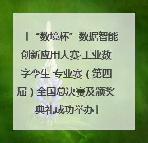 “数境杯”数据智能创新应用大赛·工业数字孪生 专业赛（第四届）全国总决赛及颁奖典礼成功举办