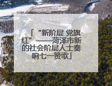“新阶层 党旗红”——菏泽市新的社会阶层人士奏响七一赞歌