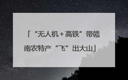 “无人机＋高铁”带赣南农特产“飞”出大山