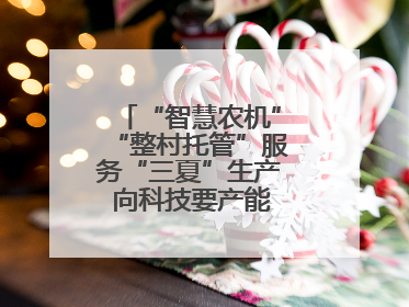 “智慧农机”“整村托管”服务“三夏”生产 向科技要产能筑牢丰产基础