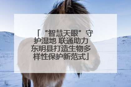 “智慧天眼”守护湿地 联通助力东明县打造生物多样性保护新范式