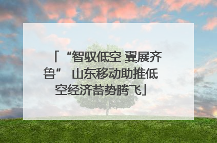 “智驭低空 翼展齐鲁” 山东移动助推低空经济蓄势腾飞