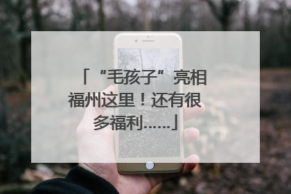 “毛孩子”亮相福州这里！还有很多福利……