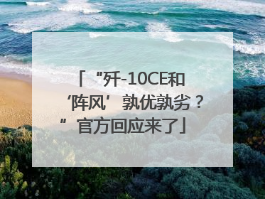 “歼-10CE和‘阵风’孰优孰劣？”官方回应来了