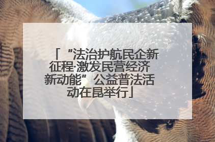 “法治护航民企新征程·激发民营经济新动能”公益普法活动在昆举行