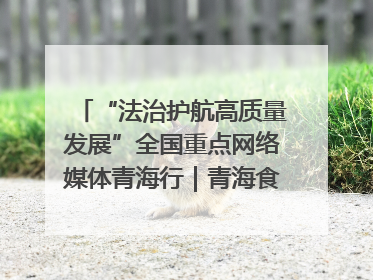 “法治护航高质量发展”全国重点网络媒体青海行｜青海食品工业协会：架起“青字号”美食的产业化桥梁