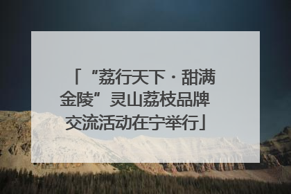 “荔行天下・甜满金陵”灵山荔枝品牌交流活动在宁举行