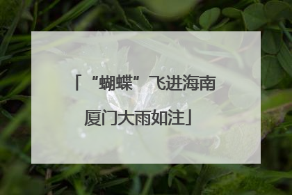 “蝴蝶”飞进海南 厦门大雨如注