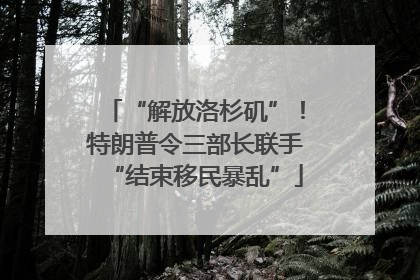 “解放洛杉矶”！特朗普令三部长联手“结束移民暴乱”