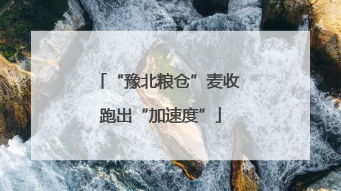“豫北粮仓”麦收跑出“加速度”