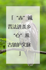 “赤”诚普法进茶乡 “心”系古镇护文脉