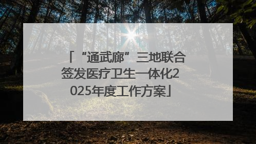 “通武廊”三地联合签发医疗卫生一体化2025年度工作方案