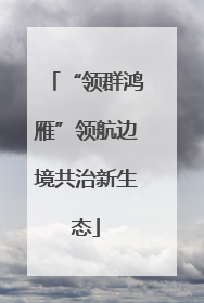 “领群鸿雁”领航边境共治新生态