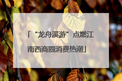 “龙舟溪游”点燃江南西商圈消费热潮